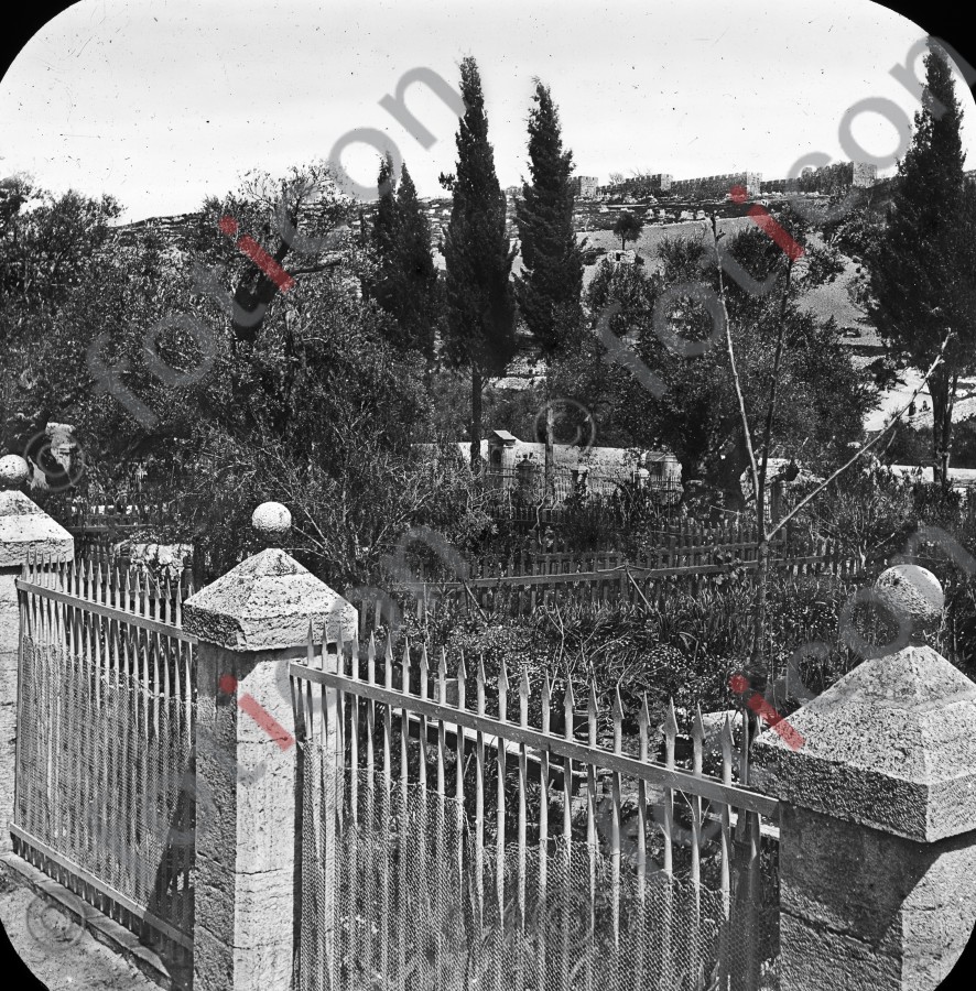 Friedhof in Palästina | Cemetery in Palestine - Foto foticon-simon-heiligesland-54-024-sw.jpg | foticon.de - Bilddatenbank für Motive aus Geschichte und Kultur
